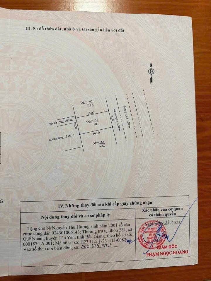 Đất nền KDT Tuệ Tĩnh, Hải Dương 128m² - Mặt tiền 8m đường đôi Nguyễn Cao