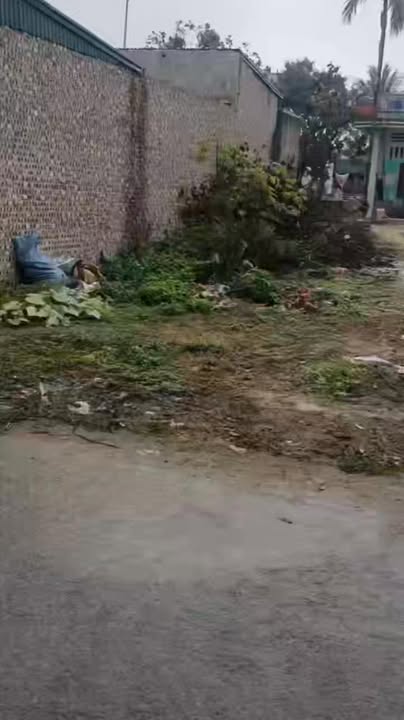 Đất nền Tân Kỳ, Tứ Kỳ, Hải Dương 98m² giá thỏa thuận - Cắt lỗ nhanh chóng!