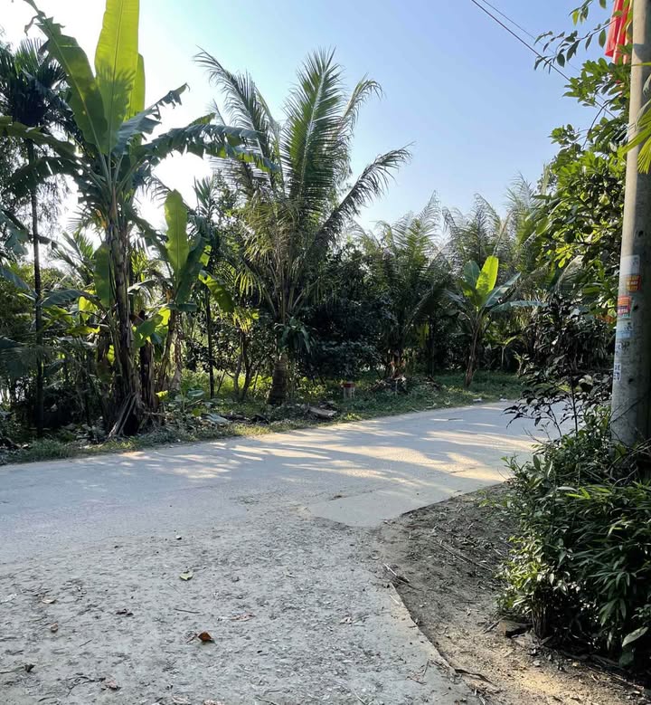 Đất Biệt Thự 524.8m² Thủy Bằng, Huế - Sẵn Sổ Đỏ, Giá Đầu Tư 2.88 Tỷ