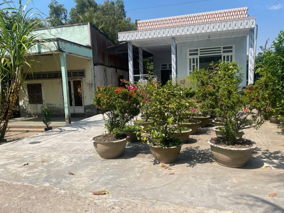 Đất vườn 6909m² tại Phụng Hiệp, Cần Thơ - Giá chỉ 2 tỷ - Chính chủ chuyển nhượng!