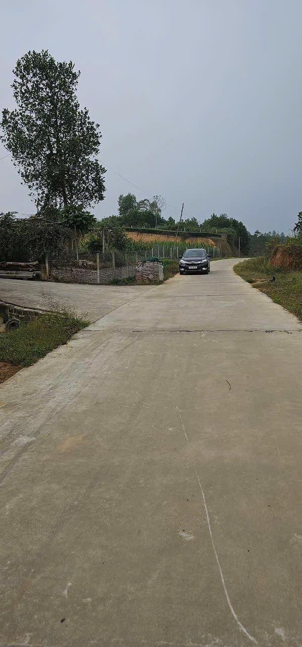 Đất nền Phú Thọ 396m² giá 400 triệu - Sổ hồng chính chủ sẵn công chứng!