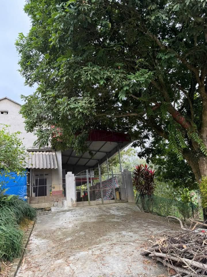 Đất Farm 6100m² tại Xã Tân Sơn, Phú Thọ - Giá chỉ 1.8 tỷ!