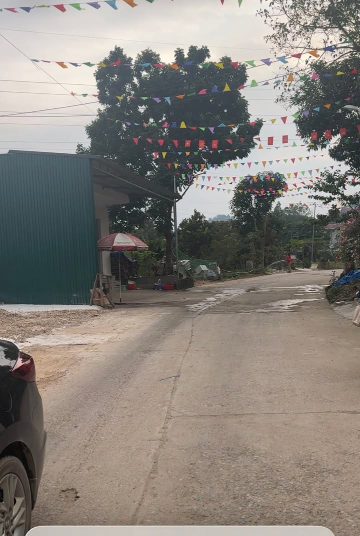 Đất Vườn Phù Ninh 1150m² Sổ Đỏ Chính Chủ - Giá Đầu Tư