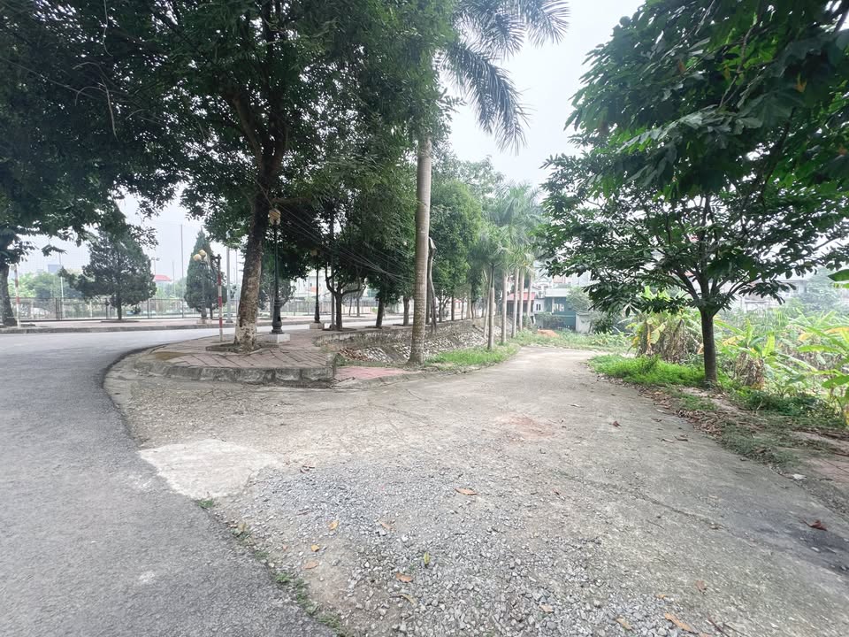 Đất ở Tiên Kiên, Lâm Thao 165m² giá 1.5 tỷ - Tiềm năng tăng giá cao!