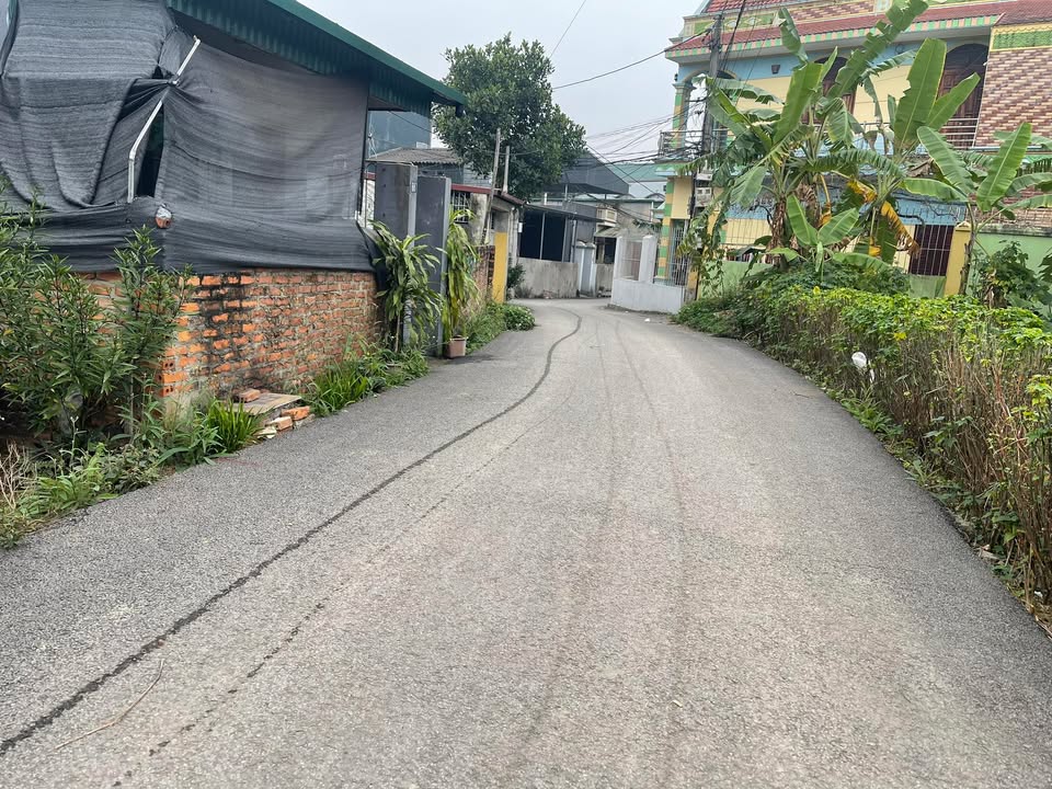 Đất Khu 13, Việt Trì 221m² giá 3 tỷ - Tiềm năng tăng giá cực tốt!