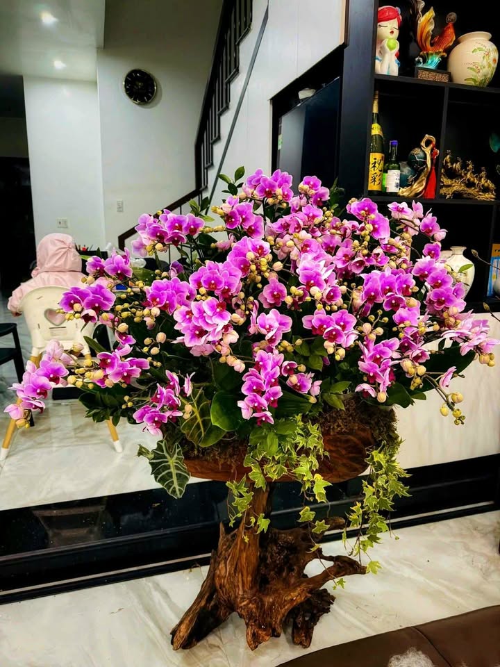 Nhà mặt đường Trần Nguyên Hãn, 192m² giá 39 tỷ - Vị trí đắc địa, kinh doanh tốt!