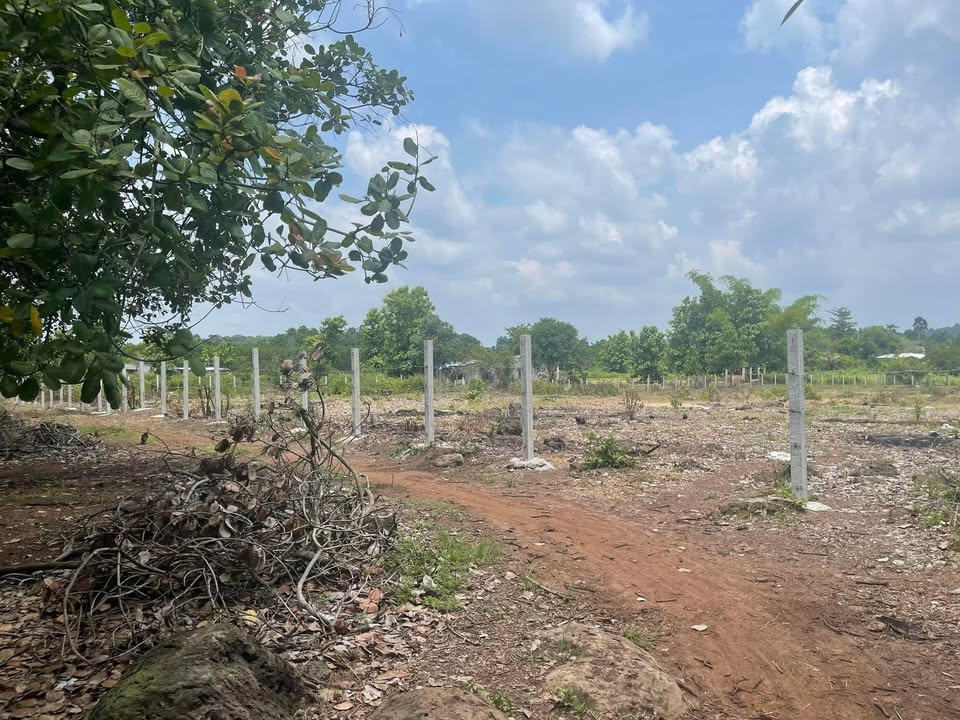 Đất Farm Ấp 5, Xã Gia Canh 7296m² giá 2 tỷ - Đầu tư sinh lời hấp dẫn!