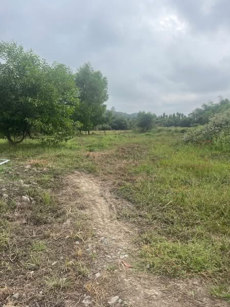 Đất Vườn Đồng Nai 9860m² - Giá Đầu Tư 250 Triệu/Sào, View Suối Mát