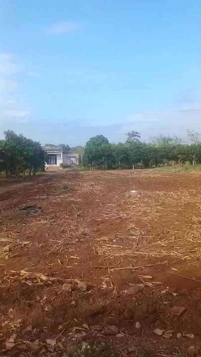 Đất nền Xã Sông Ray, Huyện Cẩm Mỹ 360m² giá 750 triệu - Cơ hội đầu tư hấp dẫn!