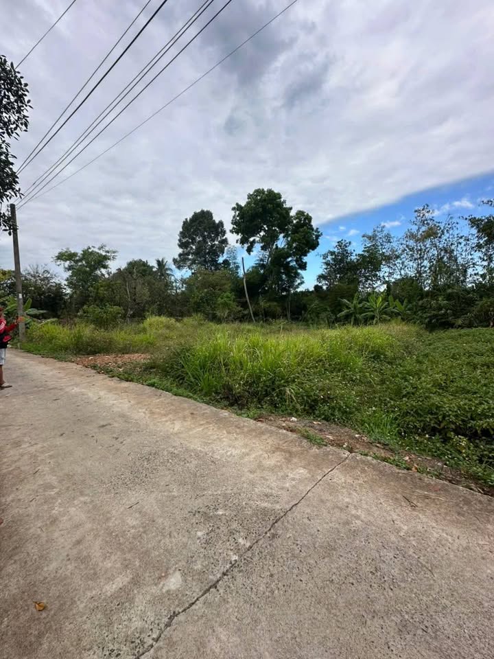 Đất nền 240m² Khu dân cư Bảo Hòa - Xuân Lộc chỉ 650 triệu - Pháp lý sổ đỏ