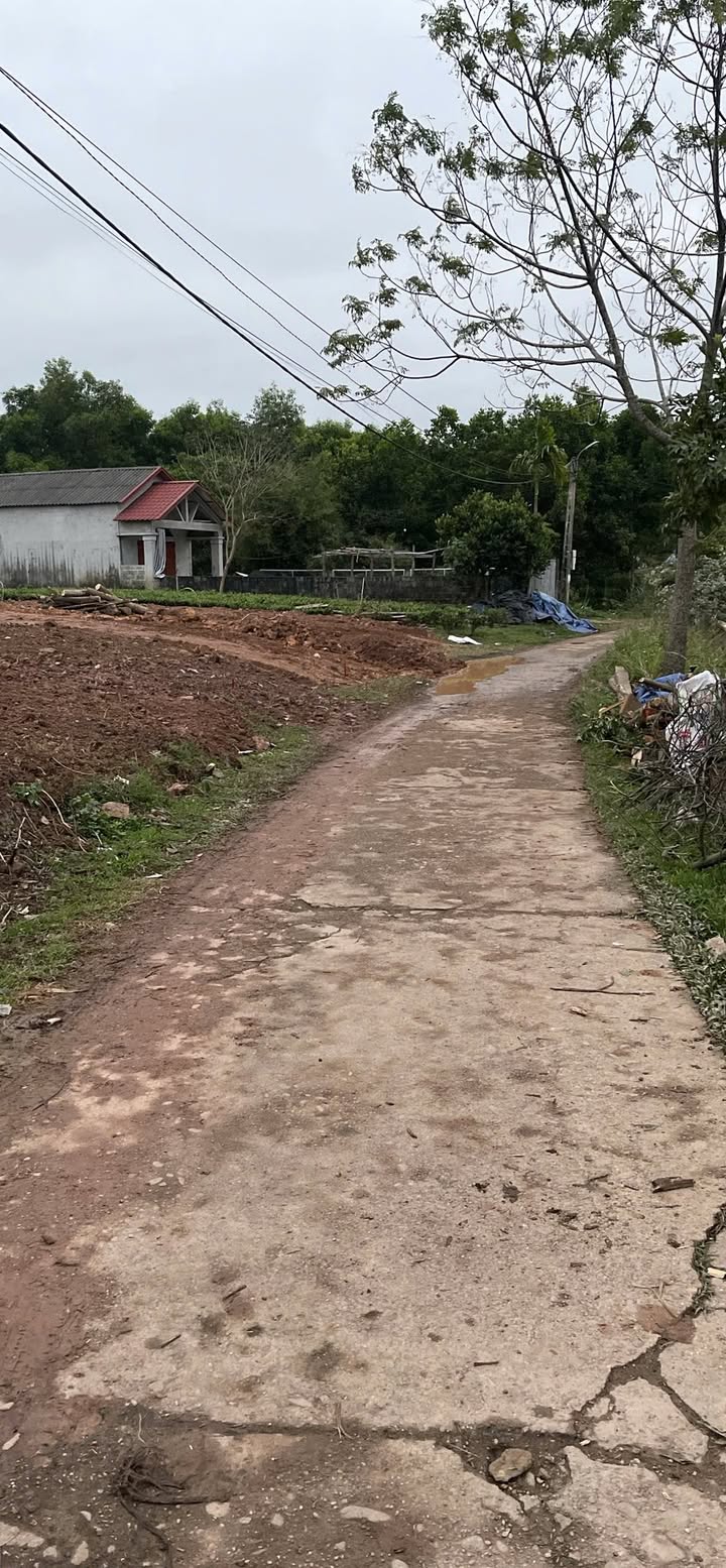 Đất nền xã Phúc Tân 200m² giá chỉ từ 700 triệu - Đầu tư sinh lời ngay!