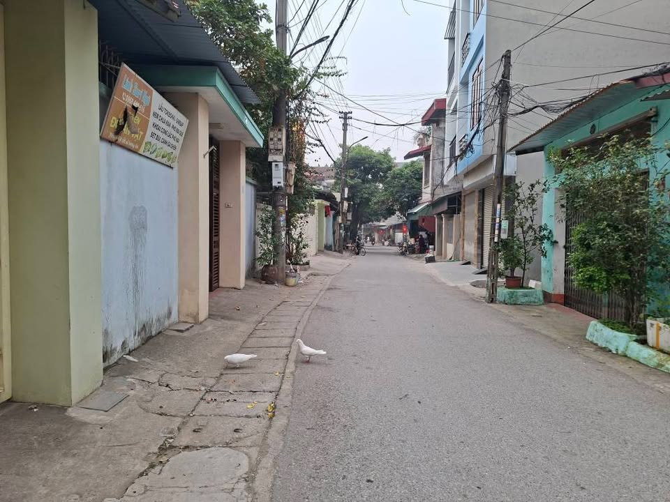 Nhà cấp 4 Phường Vũ Ninh 101m² giá 3 tỷ - Đường ô tô tránh nhau