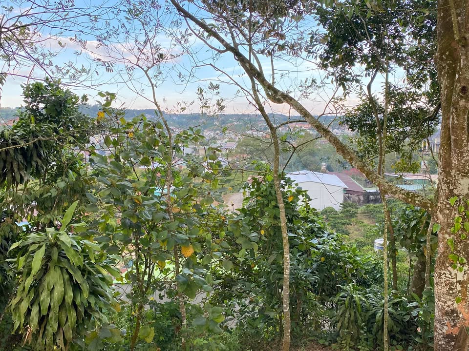 Lô đất Bảo Lộc 1124m² giá 1 tỷ - View đẹp ngay Quốc Lộ 20!