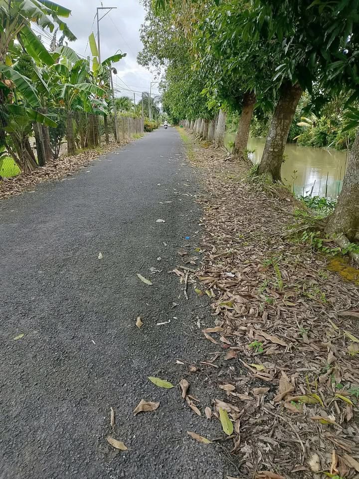 Đất nền Tân Kiều, Tháp Mười 1200m² giá 36 tỷ - Cơ hội đầu tư hấp dẫn!