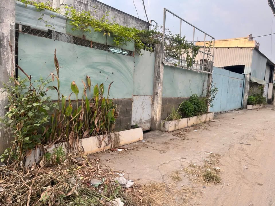 Đất Mặt Tiền Dương Công Khi Hóc Môn 300m² - Kinh Doanh/Xây Dựng Thoải Mái