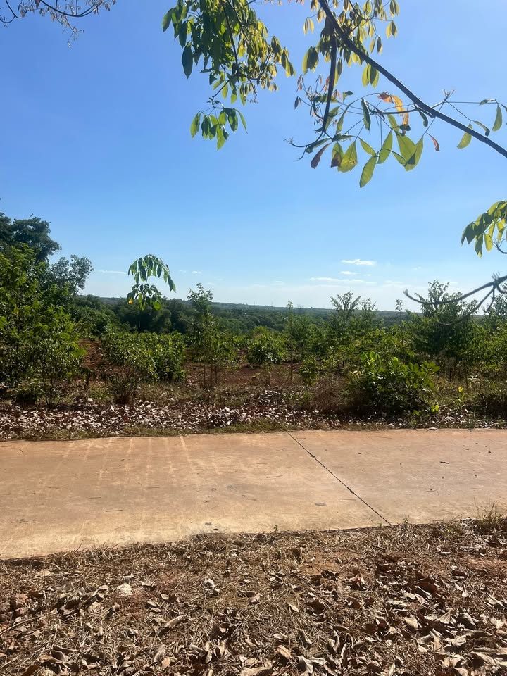 Đất nền 18.000m² tại Phường Tiến Thành, Đồng Xoài, giá 2.2 tỷ - Cơ hội đầu tư lớn!