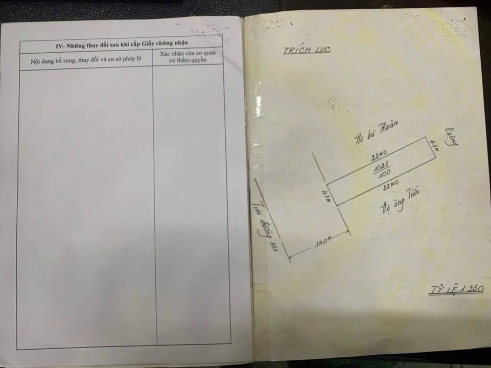 Đất liền kề mặt đường 351 Hồng Thái An Dương 100m² giá 5.8 tỷ - Đầu tư sinh lời ngay!