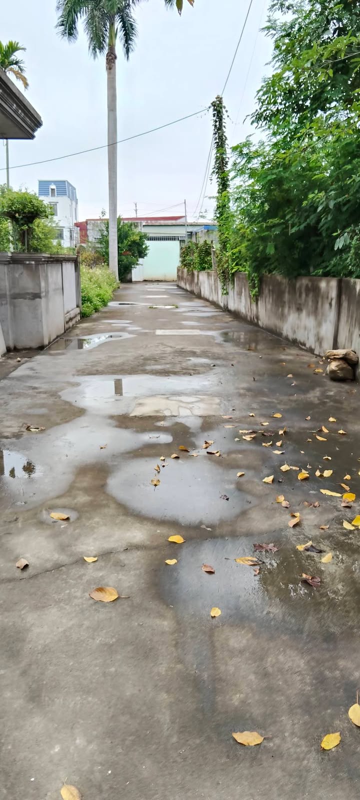 Đất nền 800m² Hồng Thái An Dương giá 4 tỷ - Ô tô đỗ cửa, tiện nghi đầy đủ!