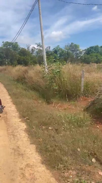 Đất nền 4000m² tại Xã Suối Cao, Đồng Nai - Sổ đỏ chính chủ, giá chỉ 500 triệu!