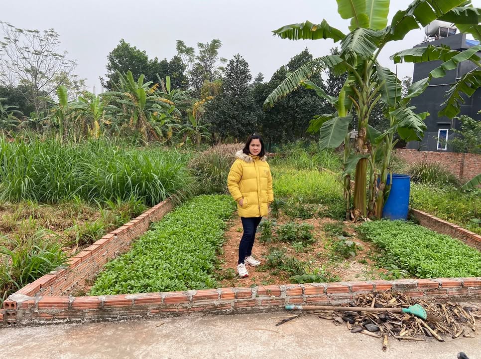 Đất nền xã Minh Trí, Huyện Sóc Sơn 91,4m² - Cần bán gấp để trả nợ ngân hàng!