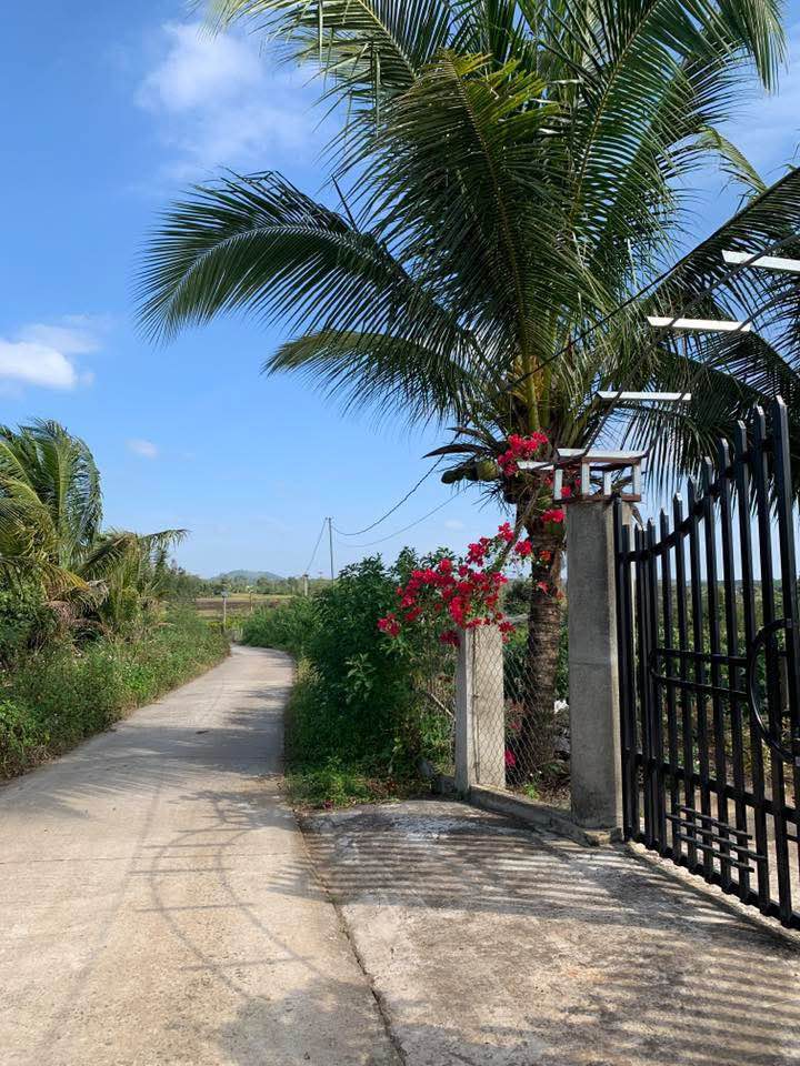 Đất thổ cư 120m² Thị trấn Phước An, 1.125 tỷ - Đầu tư sinh lời ngay!