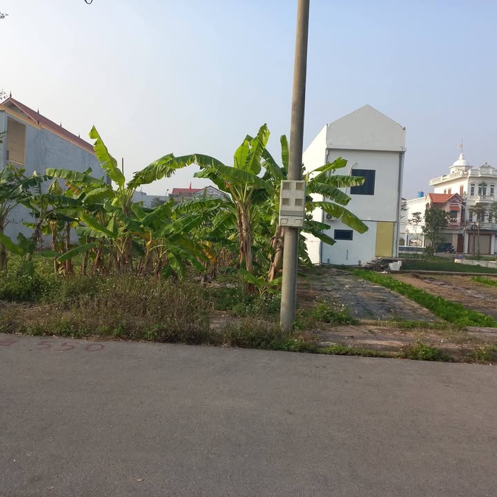 Đất nền xã Vân Trường, Tiền Hải 115m² giá 1.2 tỷ - Đầu tư sinh lời ngay!