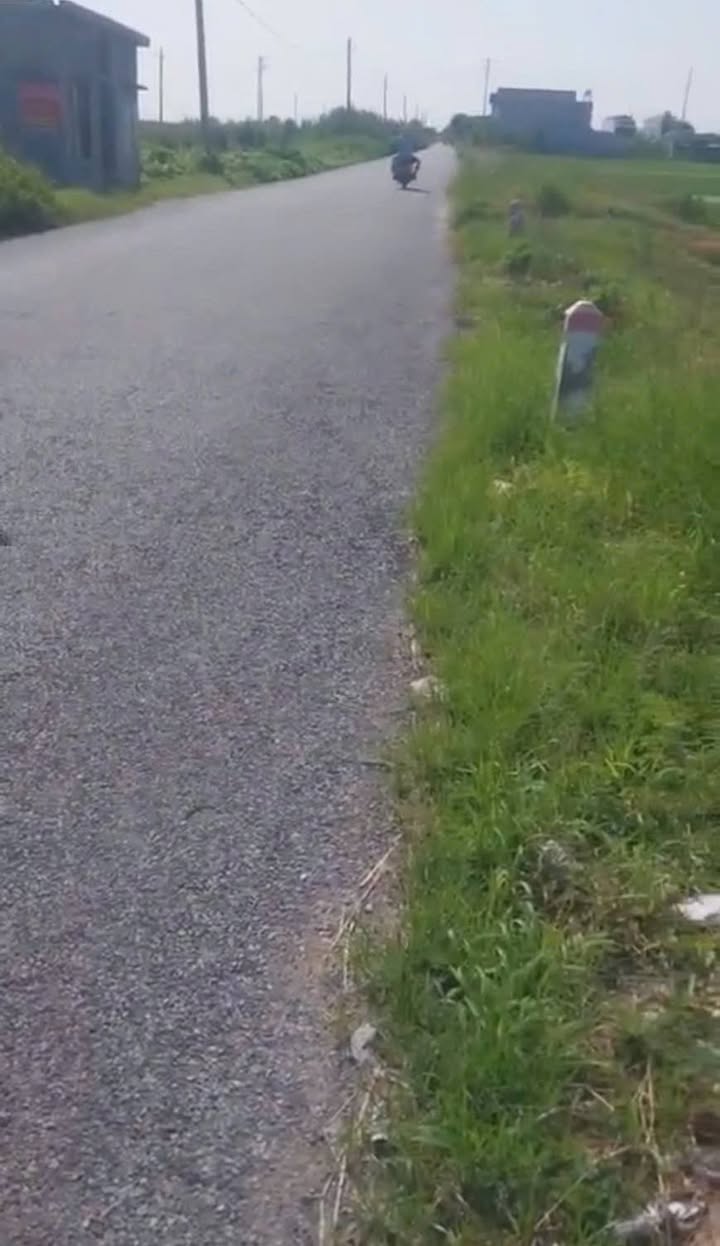 Đất nền mặt tiền đường Trục Huyện Tây Sơn, Vũ Quí 100m² giá 1.3 tỷ - Đầu tư sinh lời lý tưởng!