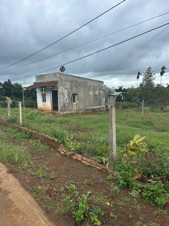 Đất nền 240m² tại Phú Xuân, Krông Năng giá chỉ 500 triệu - Pháp lý rõ ràng!