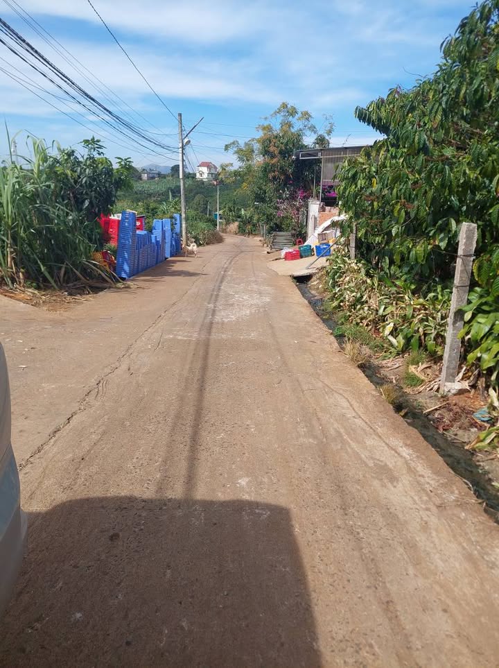 Đất thổ cư tại Thị trấn Di Linh 1481m² giá thỏa thuận - View hồ Tây thoáng đãng!