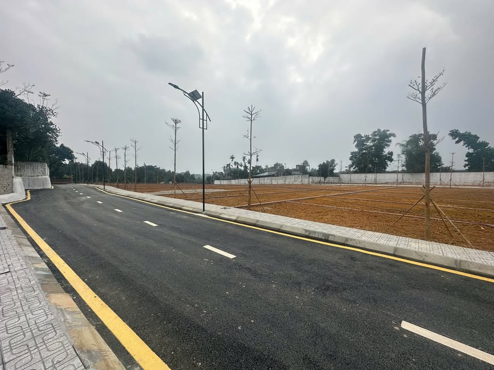 Lô Đất Mặt Đường Đồng Trạng, Xã Cổ Đông, 100m² - View Hồ Tự Nhiên Đẹp Mê Ly!