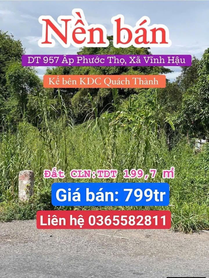 Đất nền Ấp Phước Thọ, An Giang 199.7m² giá 799 triệu - Cần bán gấp trước Tết!