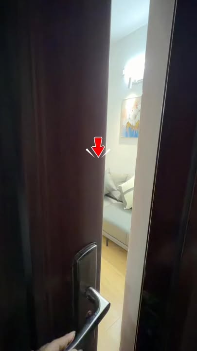 Bán Căn Hộ Tân Phát 58m² - Sổ Hồng Sẵn Sàng - Lê Mao Kéo Dài