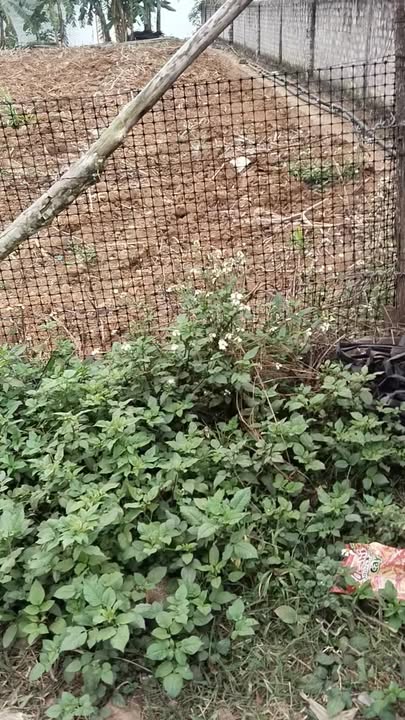 Đất nền Tây Hiếu 280m² giá chỉ 300 triệu - Sổ hồng chính chủ