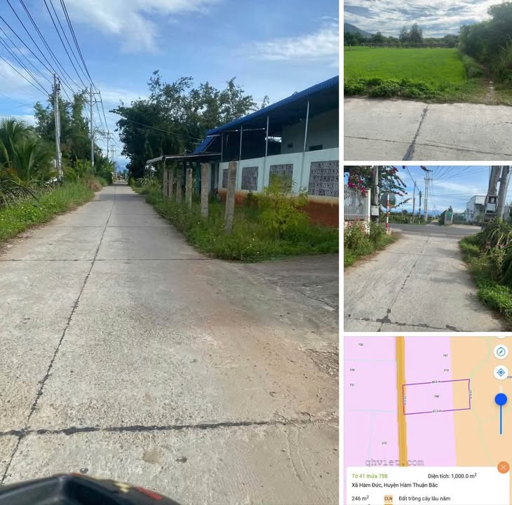 Đất thổ cư thôn 4 Hàm Đức, 1000m² giá 790 triệu - Cơ hội đầu tư lý tưởng!