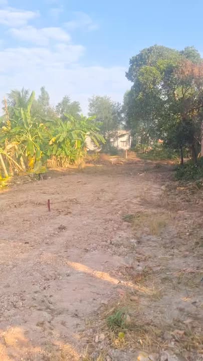 Đất vườn tại Huyện Hóc Môn 640m² giá 201.6 triệu - Pháp lý rõ ràng!