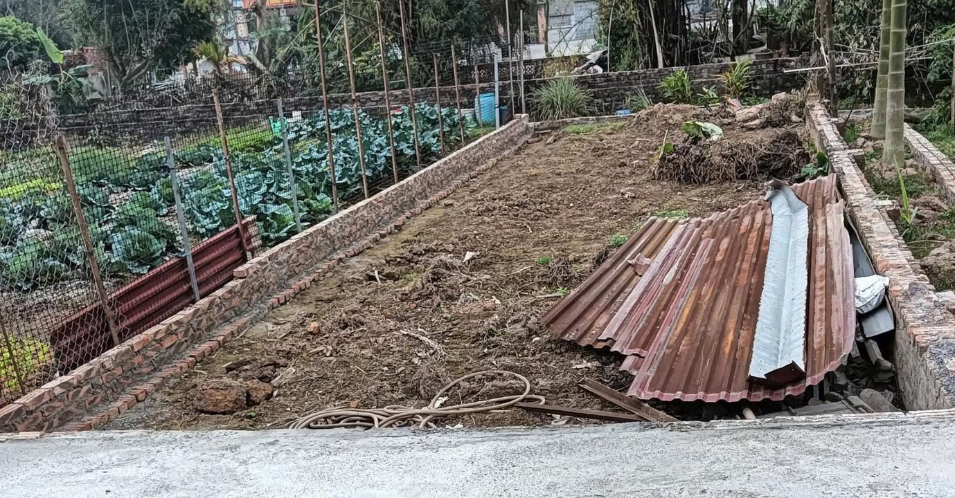 Đất Nền Thôn Bạch Nao 80m² - Sổ Đỏ Sẵn Sàng, Ô Tô Tới Tận Nơi