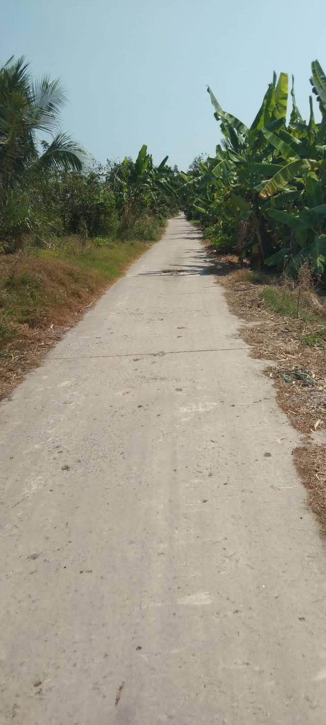 Đất nông nghiệp 16.000m² tại Cờ Đỏ, Cần Thơ - Giá tốt 3.086 tỷ!