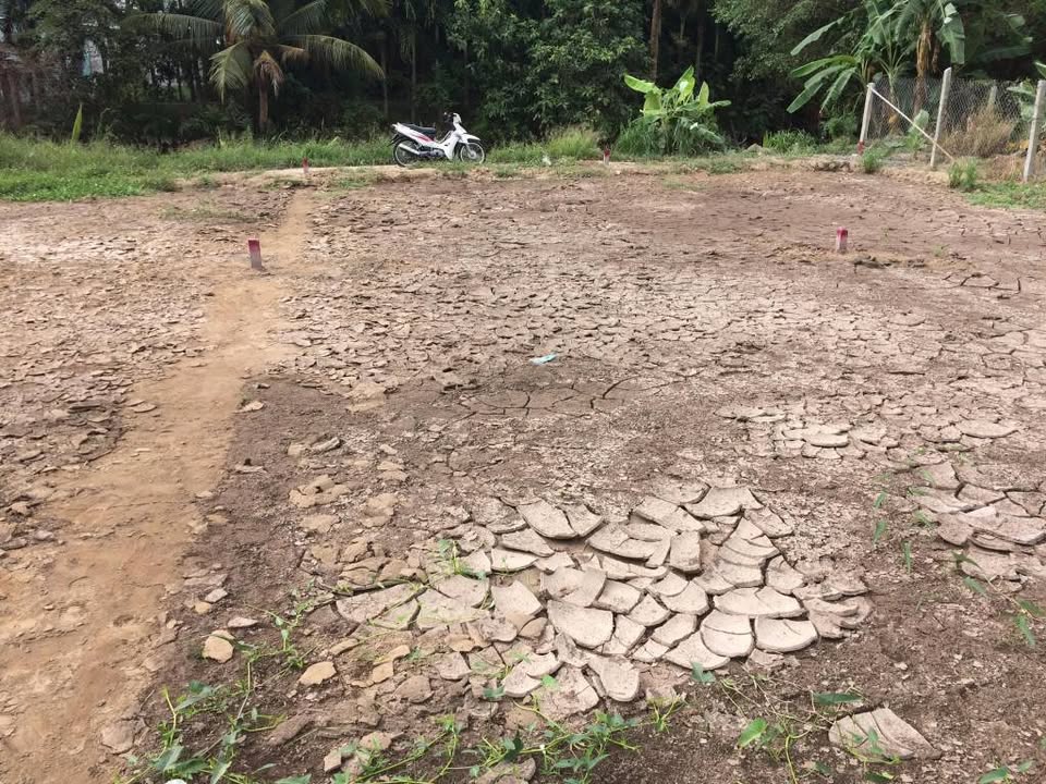 Bán nền 105m² trung tâm Bình Minh, Vĩnh Long - Sổ hồng ODT, giá 520 triệu