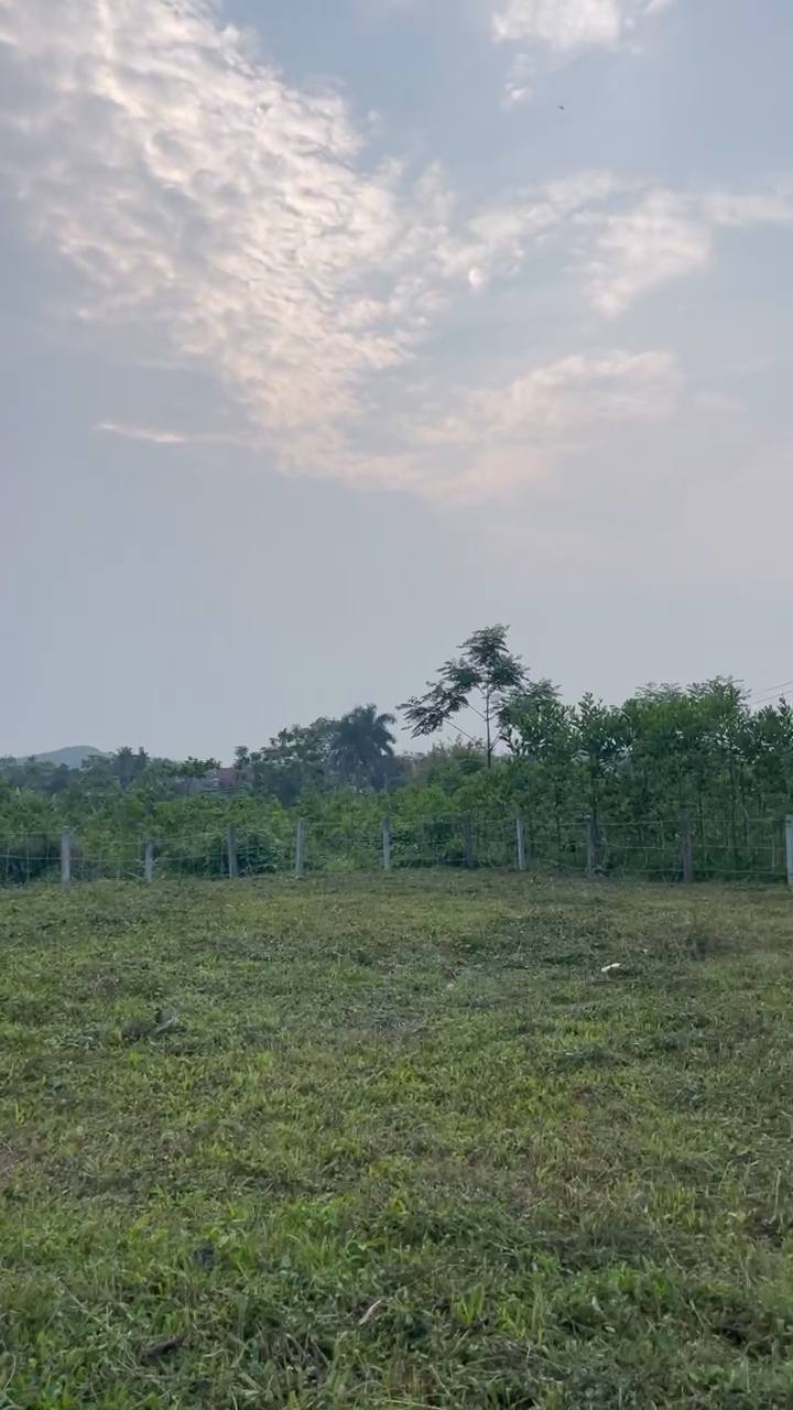 Đất nền Cao Sơn, Hòa Bình 757m² giá thỏa thuận - Không gian yên tĩnh, lý tưởng cho nghỉ dưỡng