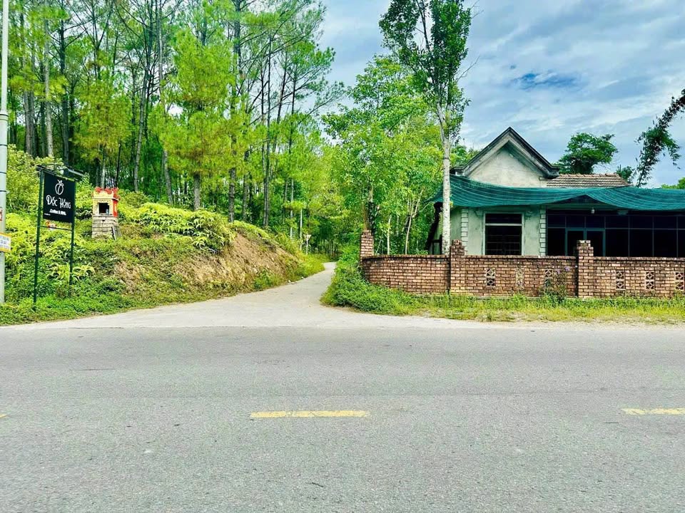 Đất nền Kim Sơn Huế 1188m² giá 6.9 tỷ - View cánh đồng tuyệt đẹp!