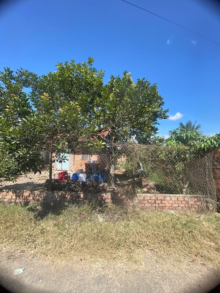 Đất thổ cư tại Khu Gia Thạnh, Đinh Văn, Lâm Hà 110m² giá 600 triệu - Sổ đỏ chính chủ, sang tên ngay!