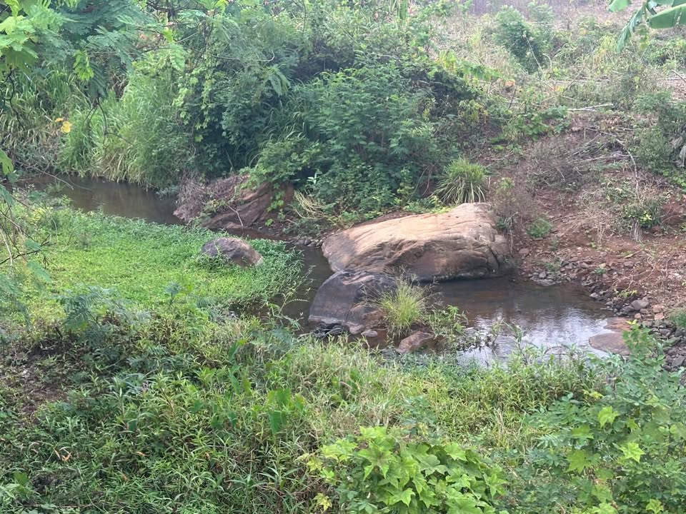 Đất Farm Nghỉ Dưỡng Tại Xã Nghĩa Thành, 1790m² Giá 1.5 Tỷ - View Suối Tự Nhiên!