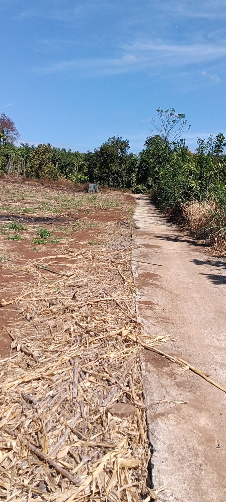 Đất nền xã Phú An Bến Cát 366m² giá 300 triệu - Cơ hội đầu tư hấp dẫn!