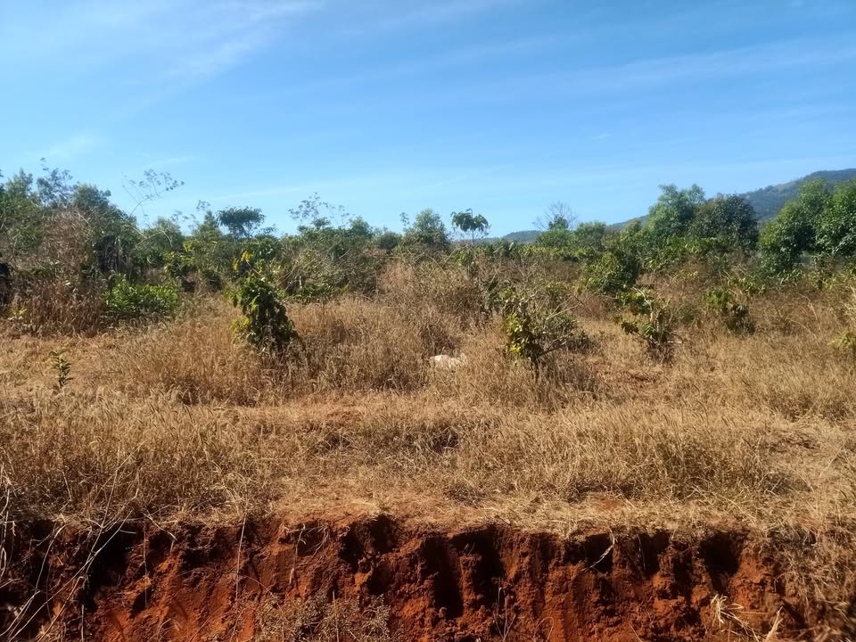 Đất nông nghiệp 5700m² tại xã Kon Gang, huyện Đăk Đoa - Giá chỉ 1.111,5 triệu VND