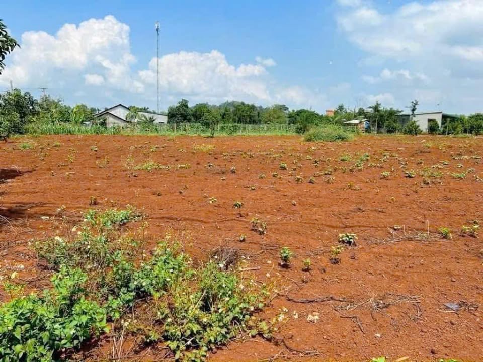 Đất thổ cư xã Dur KMăl, Krông A Na 950m² giá 13.3 tỷ - Đường nhựa 20m