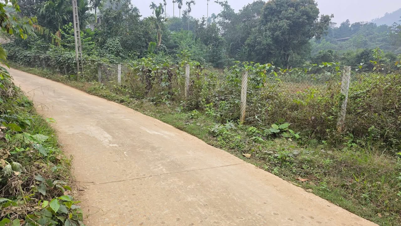 Đất nền Yên Xuân, Thạch Thất, 2160m² giá 10.8 tỷ - Cơ hội đầu tư tuyệt vời!