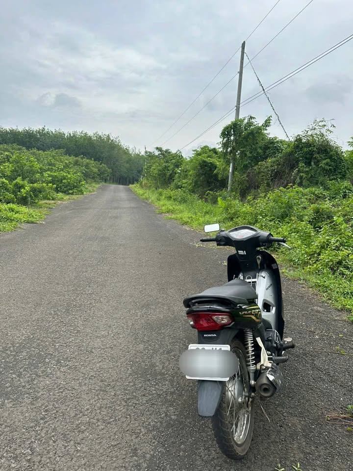 Đất thổ cư 810m² tại Ấp Cây Điệp, Tân Phước - Giá chỉ 300 triệu!