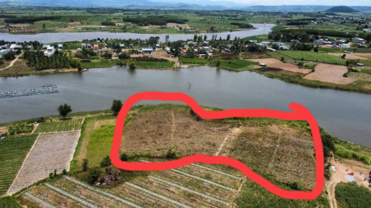 Đất rẫy 8000m² tổ 3 An Phước giá 2.88 tỷ - Pháp lý rõ ràng, ô tô vào tận nơi!