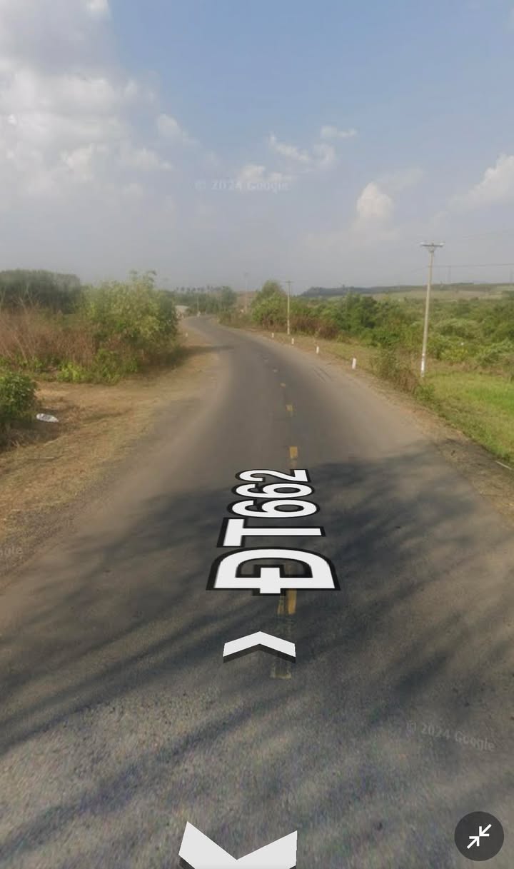 Lô đất rẫy 1.5 Héc-ta tại Kông Chro, Gia Lai - Đất màu mỡ, sổ hồng chính chủ!