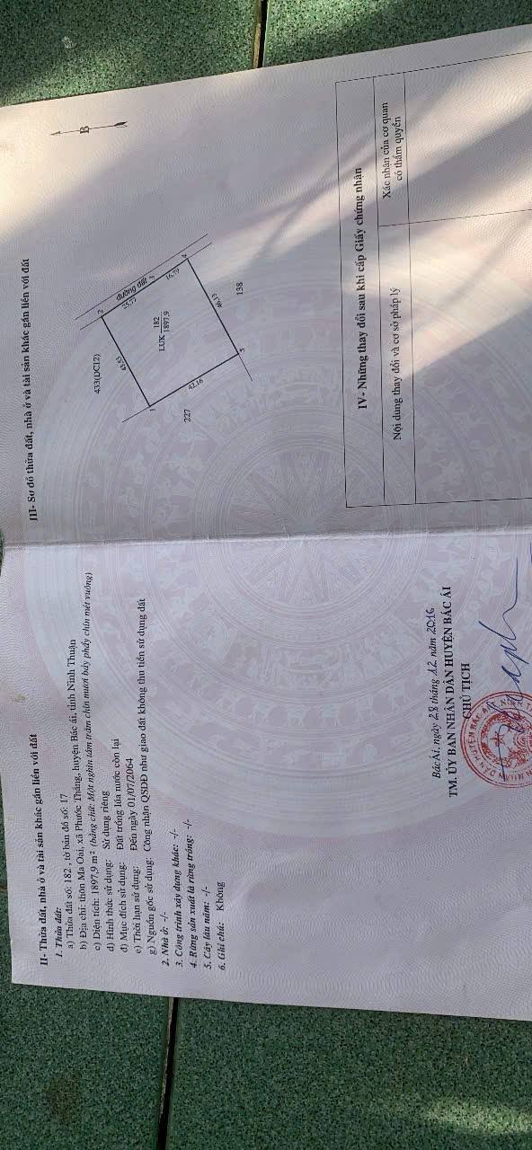 Đất nền Farm tại Phước Đại, Bác Ái, 8000m² giá chỉ 350 triệu - Cơ hội đầu tư tuyệt vời!